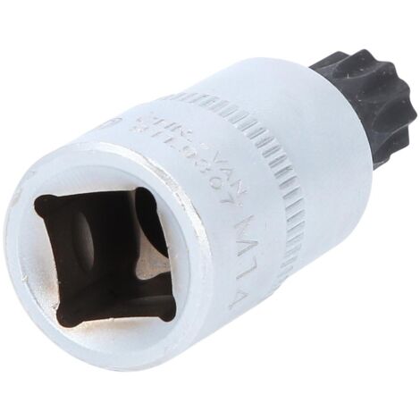 Capot de Valve Echappement KTM 125 SX Couleur Gris KTM KTM 125 SX 2016-2020 Capot de Valve Echappement KTM 125 SX Couleur Gris KTM KTM 125 SX 2016-2020