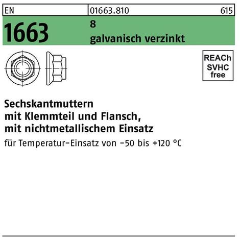EN 1663/DIN 6926 m.Klemmteil/Flansch
