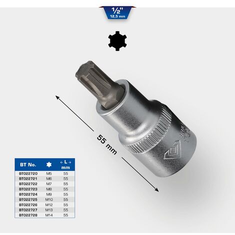 Embout RIBE M14 Pour Clé à Douille 3/8 (10mm) - Acier S2 Haute Qualité - Marque RICHMANN - Neuf