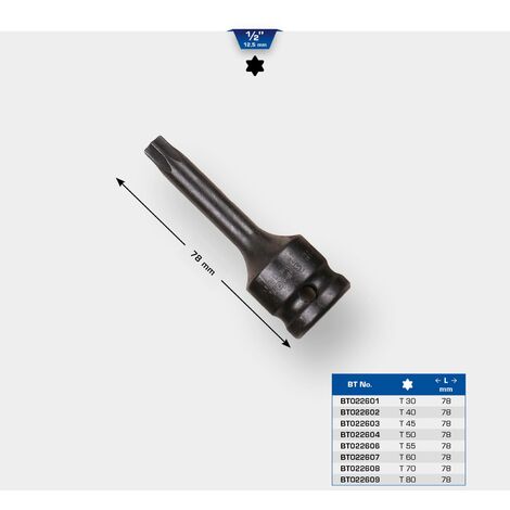 Douille embout torx creux t80