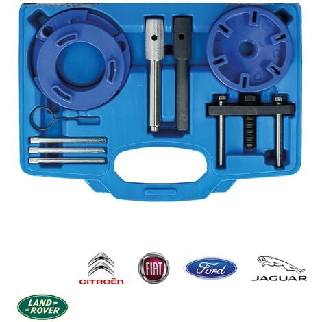 Brilliant Tools Jeu d'outils de réglage de moteur pour Jaguar, Land Rover,  Ford, Citroën 2.0