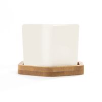 Ceramic Hexagon Bamboo Base Planter Pots - Set of 4 | M&W - White