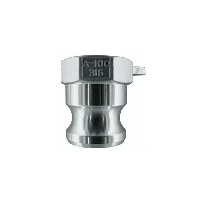 Adaptateur Filetage 3/4" G (BSPP) Femelle Vers 1/2" NPT Mâle - Laiton Brossé - 4 Pouces