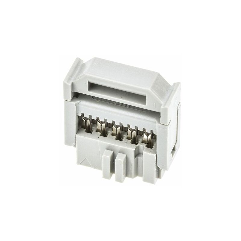 Domino Electrique 2 x 2.5mm² Connecteur à Ressort Section Conducteur 2.5mm²  IEC 250V / 10A (
