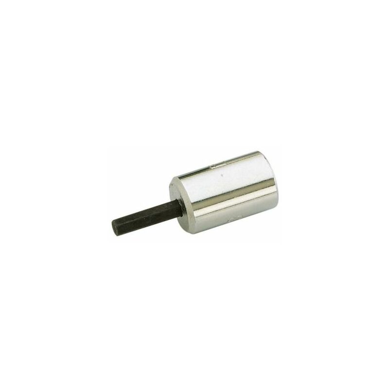 Douille SAM Embout à 6 pans 1/4'' ( Prix pour 1 )