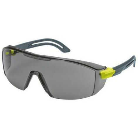 Lunettes de protection Uvex Gris ( Prix pour 1 )
