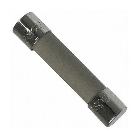 Cartouche fusible Eaton Bussmann, 10A 6.3 x 32mm Type T 250V c.a. ( Prix pour 1 )