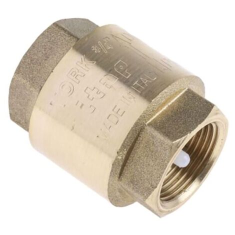 Clapet antiretour en Laiton RS PRO BSPP 3/4" ( Prix pour 1 )