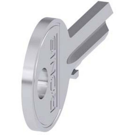 Clé de remplacement Siemens pour Commutateur Ronis ( Prix pour 1 ) (1/4)