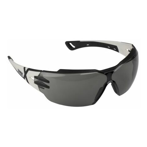Lunettes de protection solaire 9198237 – Norme EPI – Anti-buée et anti-rayures – Confort ajusté pour environnements extérieurs – Uvex