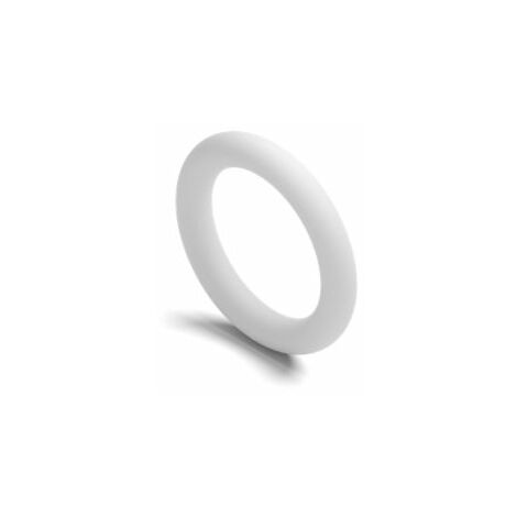 Joint torique RS PRO, Ø int. 19mm, épais. 4mm, en PTFE ( Prix pour Sachet de 2 )