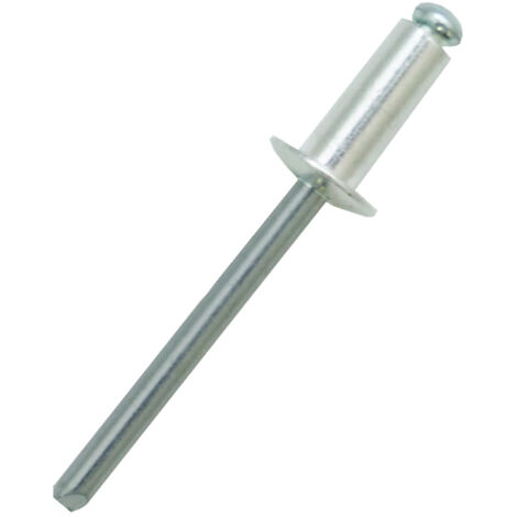 Rivet Aluminium Argent longueur 12mm diamètre 5mm ( Prix pour Sachet de 50 )