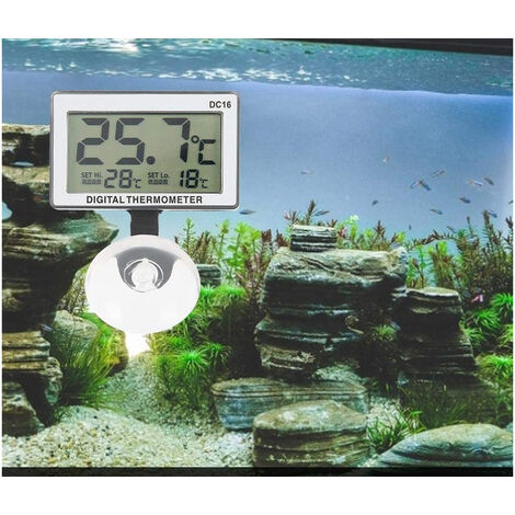 Acquista Termometro digitale per acquario LCD con ventosa Mini termometro  per acquario da interno impermeabile