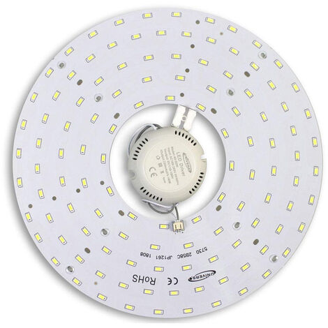 Circolina LED SMD Circolare 56w Luce Fredda Ricambio Plafoniera Circolare