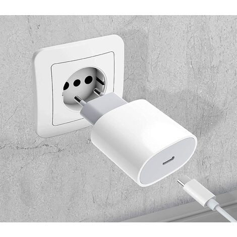 Caricabatteria Rapido 20W Cavo USB-C Tipo-C Adattatore Ricarica Veloce TN- 011