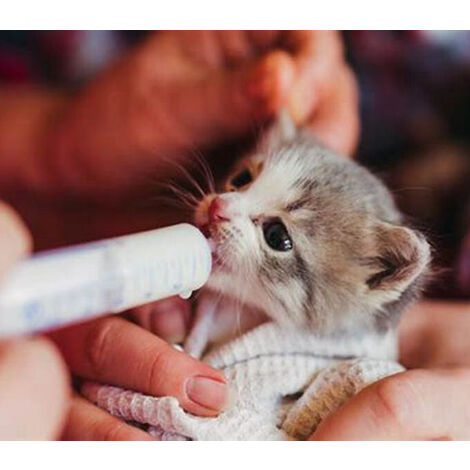 Siringa Per Alimentazione Uccelli E Piccoli Animali - 10 Ml Con 8 Tubi - Sterile E Sicura - Per Pappagalli, Uccellini - Foto 8