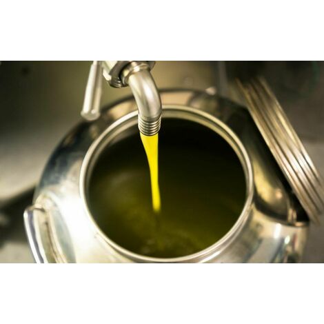 Contenitore Per Olio D'Oliva In Acciaio Inox LoviStore - Capacità 50 Litri, Con Rubinetto, Made In Italy
