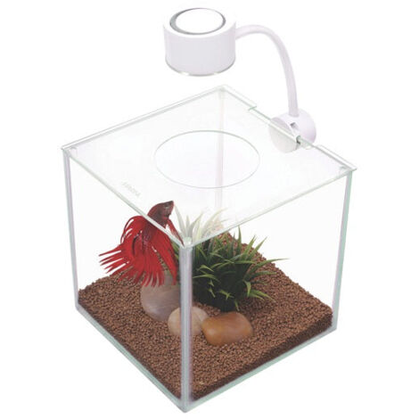 Bettera de cristal con iluminación Marina Cubus - 3,4L