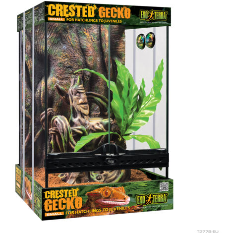 Kit inicio terrario para Gecko Crestado Exo Terra, S, 30x30x45cm