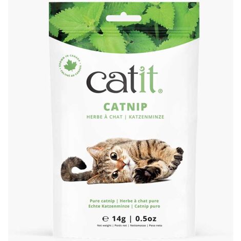 Catnip seco para gatos Catit