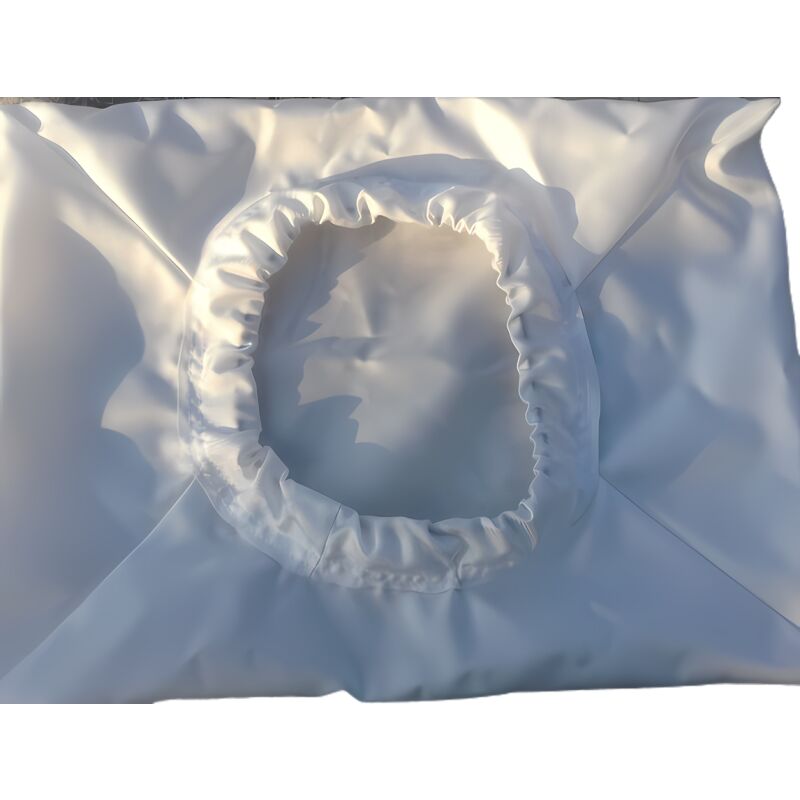 Poche Filtre 10 Microns Desjoyaux - Avec Panier Skimmer