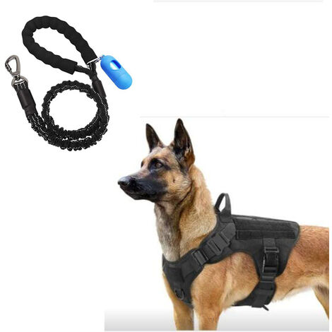M Guinzaglio regolabile per cani Laccio per animali domestici Guinzagli da corsa Cintura per cani Nylon Cane da jogging Corda da passeggio Collare per imbracatura Forniture per animali domestici Blu 