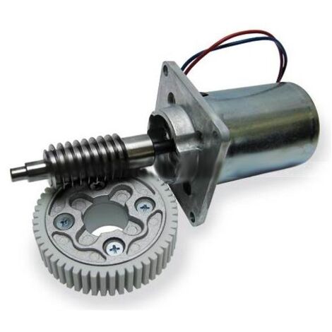 NICE SPAMG00200 Gruppo Motore Elettrico 24V ROBUS 350 400 Ricambio (1/2)