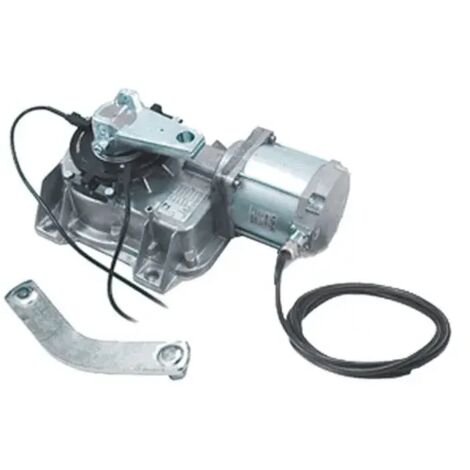 Came – Motoriduttore 24V für Torantriebe – 1FROGA24 – IP67 wetterfest – für Tore bis 3,5m und 400kg – Automatisierungslösung (1/3)