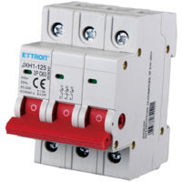 ETTROIT Lasttrennschalter 3P 63A 380V JX436300