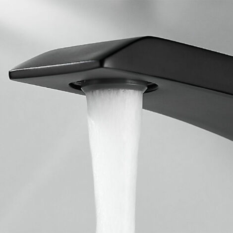 Robinet de salle de bain Mitigeur lavabo Luxe Moderne peintre Noir avec Flexible