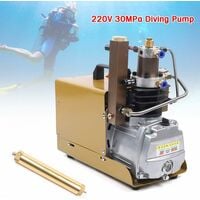 Pompe submersible électrique à haute pression PCP 220 V 30 MPa 4500 PSI Pompe submersible électrique 2800 tr/min