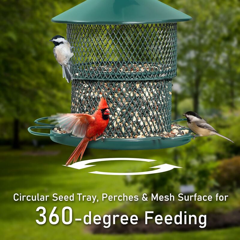 Mangeoires à oiseaux en fer durables pour mangeoire à oiseaux à l