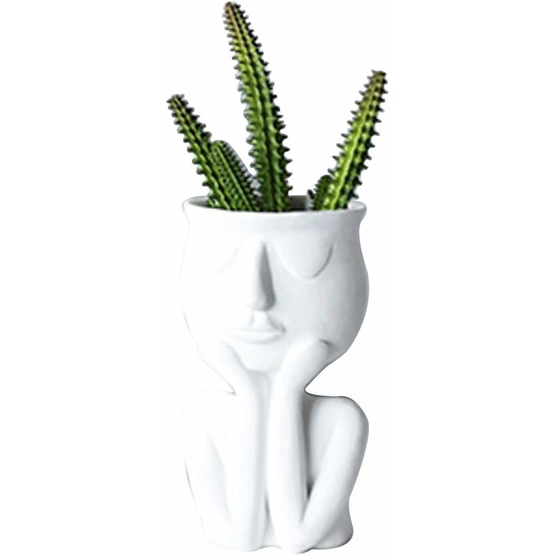 Creative Vase en forme de personnage nordique vase noir, plantes  succulentes, pot de fleurs abstrait, visage