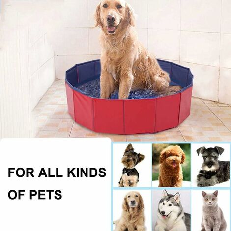 Piscine Pliable Pour Chien - 60x20cm, PVC, Pas De Gonflage - Pour Petit Chien, Chat, Bébé - Pataugeoire été