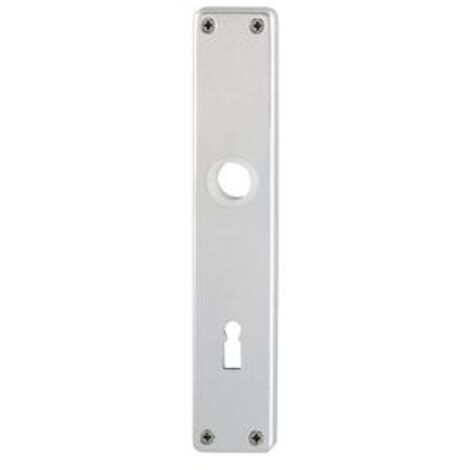 Plaque longue porte 202SP PZ55mmF1