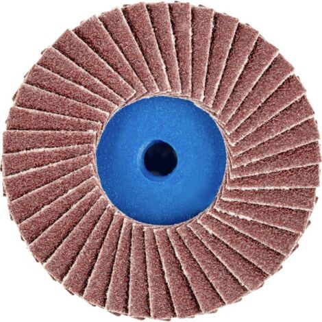 COMBIDISC Mini-Polifan corindon 50mm G80 Pferd 1 PCS (1/4)