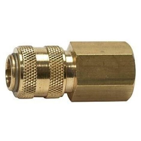 Raccord NW 5 MS IG G1/8 Riegler (1/3)