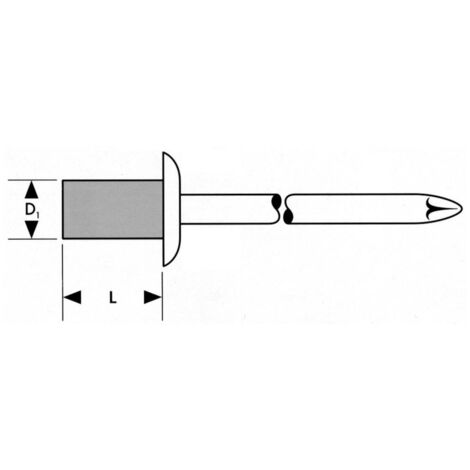 Rivet Stand. a 75 unités Tte ronde plate 4,8x14mm FORTIS (1/2)