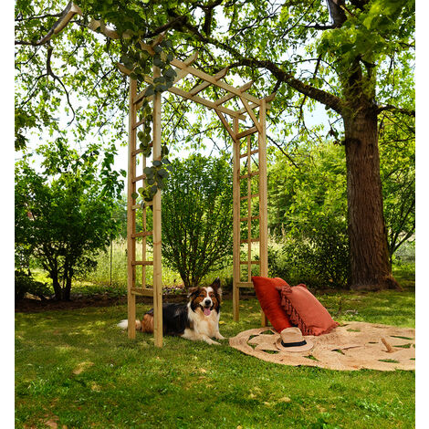 Arche de mariage en bois de 7 pieds tonnelle de jardin heptagonale