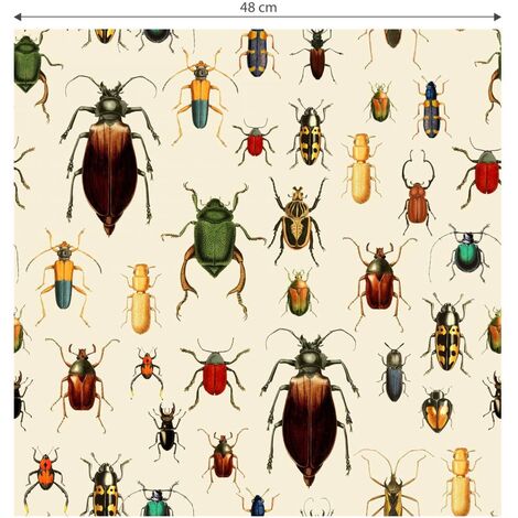 Papier peint intissé vintage coléoptères colorés scolytes insectes rétro  0,48 m x 5,28 m