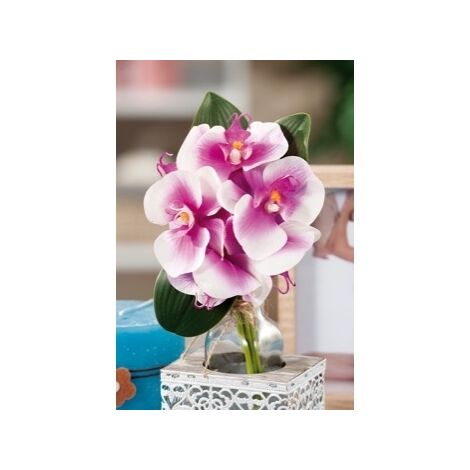 BOUQUET ORCHIDEE 6FIORI A6COL CM22