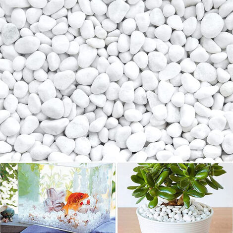 CIOTTOLI DI MARMO CARRARA BIANCO MM.25/40 KG 20