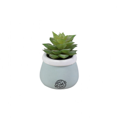 VASO CON PIANTA GRASSA D.5,5XH8CM IN CERAMICA AZZU
