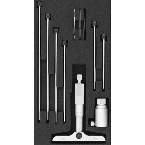 FORMAT Tiefenmessschraube 0-100mm (1/5)