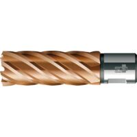 BDS Kernbohrer VARIOPlus langKBI HSS Schaft Weldon 19/50mm