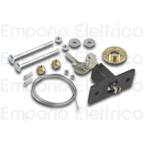Faac – Déverrouillage externe à clé pour portes > 15mm – Compatible moteurs D600 D700HS D1000 – Clé personnalisée N. 1 à N. 36 - 424591001