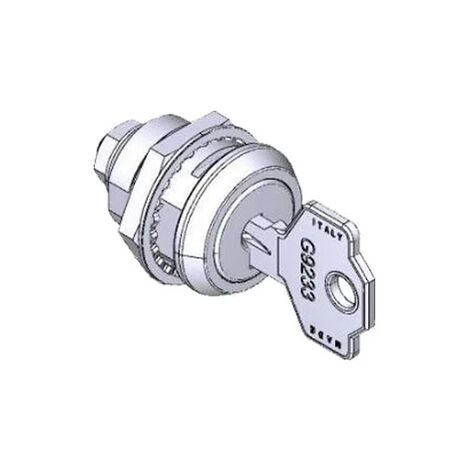came pièce détachée groupe serrure porte gt4-gx4-gt8 88003-0080 (1/3)