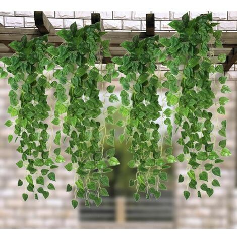 Joli arrosoir vert pour arroser ma plante d'intérieur et décorer – La Green  Touch