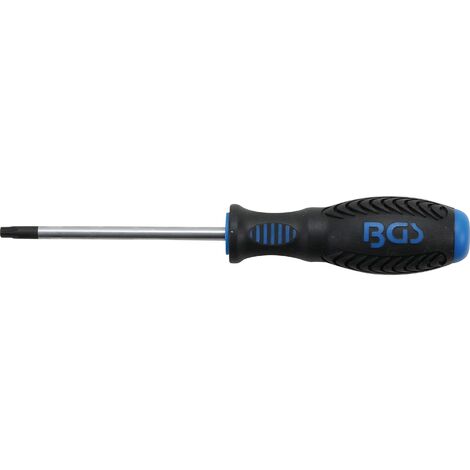 Bosch Professional - Destornillador Torx (Punta T20 x 100 mm