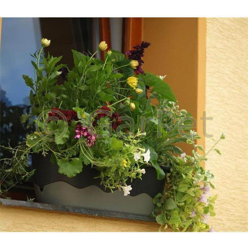 Balkonkasten Blumenkasten mit Bewässerung Mareta inkl Wasserstandsanzeiger 